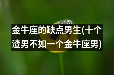 金牛座的缺点男生(十个渣男不如一个金牛座男)