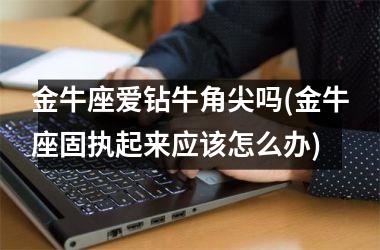 金牛座爱钻牛角尖吗(金牛座固执起来应该怎么办)