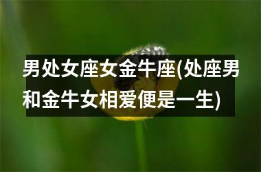男处女座女金牛座(处座男和金牛女相爱便是一生)