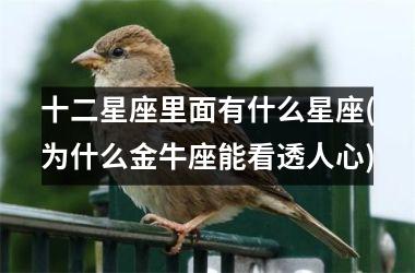 <h3>十二星座里面有什么星座(为什么金牛座能看透人心)