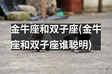 <h3>金牛座和双子座(金牛座和双子座谁聪明)