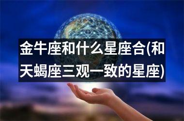 金牛座和什么星座合(和天蝎座三观一致的星座)