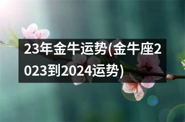 23年金牛运势(金牛座2023到2024运势)