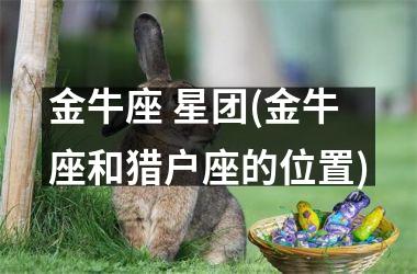 金牛座 星团(金牛座和猎户座的位置)