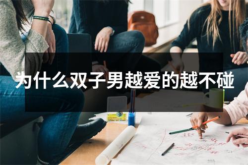 <h3>为什么双子男越爱的越不碰