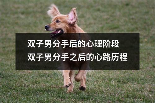 <h3>双子男分手后的心理阶段双子男分手之后的心路历程