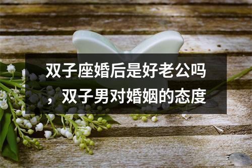 <h3>双子座婚后是好老公吗，双子男对婚姻的态度