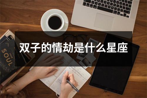 <h3>双子的情劫是什么星座