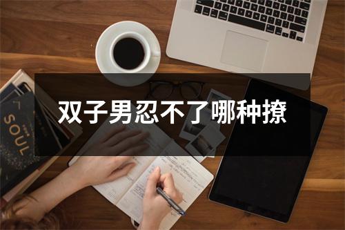 <h3>双子男忍不了哪种撩