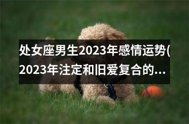 处女座男生2025年感情运势(2025年注定和旧爱复合的星座)