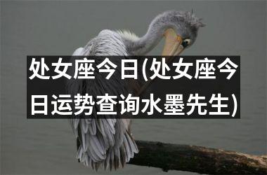 <h3>处女座今日(处女座今日运势查询水墨先生)