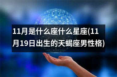 <h3>11月是什么座什么星座(11月19日出生的天蝎座男性格)