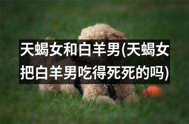 <h3>天蝎女和白羊男(天蝎女把白羊男吃得死死的吗)