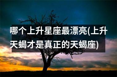 <h3>哪个上升星座最漂亮(上升天蝎才是真正的天蝎座)
