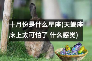 <h3>十月份是什么星座(天蝎座床上太可怕了 什么感觉)