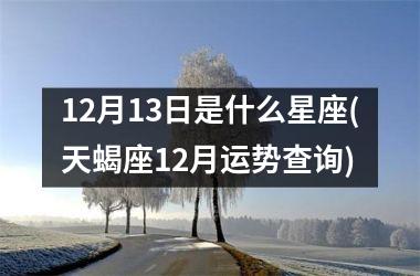 12月13日是什么星座(天蝎座12月运势查询)