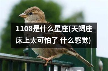 1108是什么星座(天蝎座床上太可怕了 什么感觉)