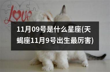 <h3>11月09号是什么星座(天蝎座11月9号出生最厉害)