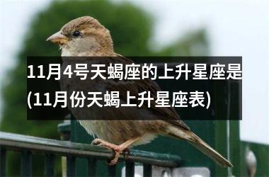 <h3>11月4号天蝎座的上升星座是(11月份天蝎上升星座表)