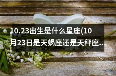 10.23出生是什么星座(10月23日是天蝎座还是天秤座)