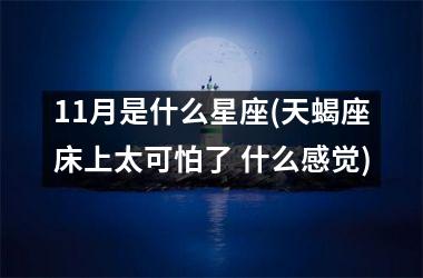 11月是什么星座(天蝎座床上太可怕了 什么感觉)