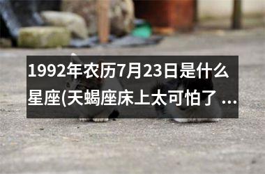 1992年农历7月23日是什么星座(天蝎座床上太可怕了 什么感觉)