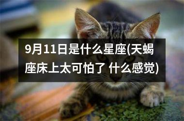 <h3>9月11日是什么星座(天蝎座床上太可怕了 什么感觉)