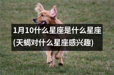 <h3>1月10什么星座是什么星座(天蝎对什么星座感兴趣)