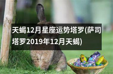 <h3>天蝎12月星座运势塔罗(萨司塔罗2019年12月天蝎)