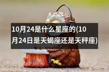 10月24是什么星座的(10月24日是天蝎座还是天秤座)