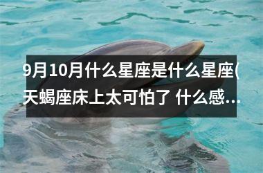 <h3>9月10月什么星座是什么星座(天蝎座床上太可怕了 什么感觉)