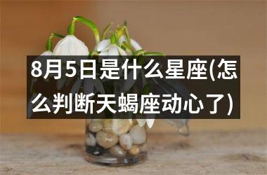 <h3>8月5日是什么星座(怎么判断天蝎座动心了)