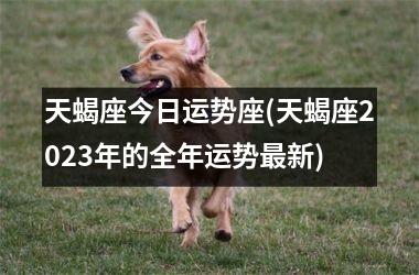 天蝎座今日运势座(天蝎座2025年的全年运势最新)