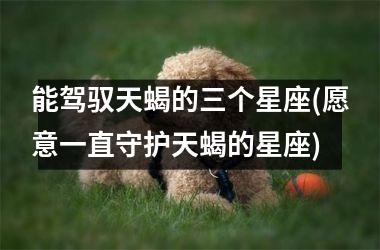 <h3>能驾驭天蝎的三个星座(愿意一直守护天蝎的星座)