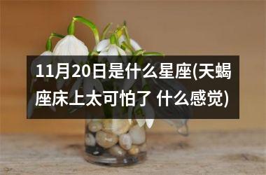 11月20日是什么星座(天蝎座床上太可怕了 什么感觉)