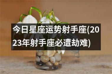 今日星座运势射手座(2025年射手座必遭劫难)