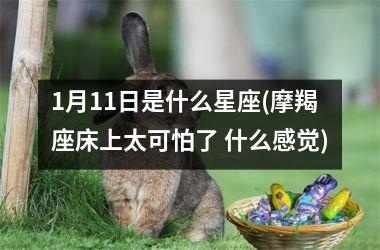 <h3>1月11日是什么星座(摩羯座床上太可怕了 什么感觉)