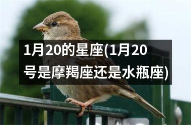 <h3>1月20的星座(1月20号是摩羯座还是水瓶座)