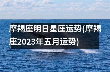 摩羯座明日星座运势(摩羯座2023年五月运势)