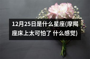 <h3>12月25日是什么星座(摩羯座床上太可怕了 什么感觉)