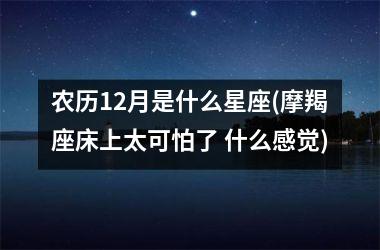 农历12月是什么星座(摩羯座床上太可怕了 什么感觉)