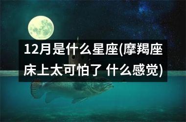 12月是什么星座(摩羯座床上太可怕了 什么感觉)