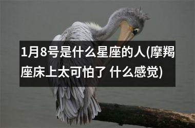 1月8号是什么星座的人(摩羯座床上太可怕了 什么感觉)