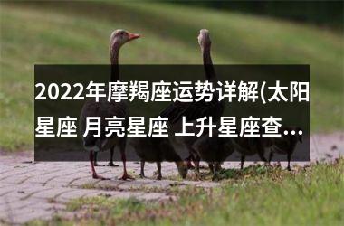 2025年摩羯座运势详解(太阳星座 月亮星座 上升星座查询)