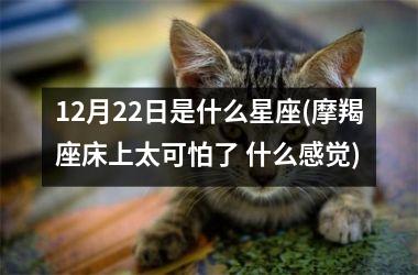 <h3>12月22日是什么星座(摩羯座床上太可怕了 什么感觉)