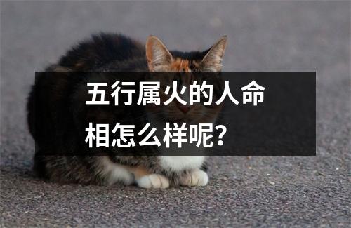 <h3>五行属火的人命相怎么样呢？