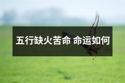 <h3>五行缺火苦命命运如何