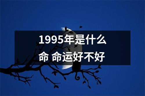 <h3>1995年是什么命命运好不好