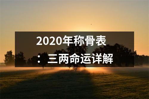 <h3>2025年称骨表：三两命运详解