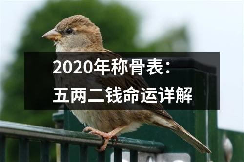 <h3>2025年称骨表：五两二钱命运详解